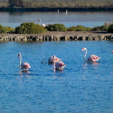 Apartamento Salamanca 4 Santa Pola Luaran gambar